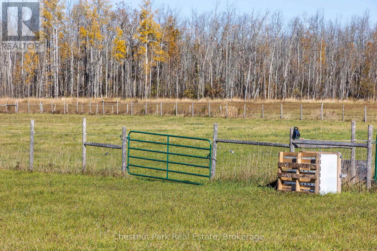 92 CRANE LAKE ROAD, Northern Bruce Peninsula — photo 9