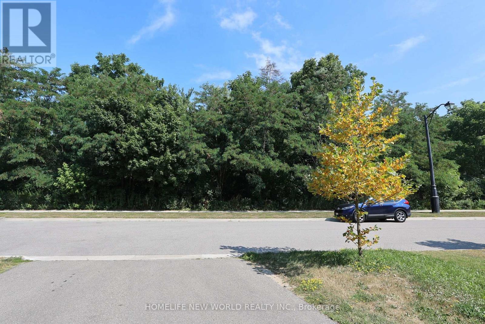 2ND MASTER BEDROOM - 41 PULPWOOD CRESCENT, Richmond Hill (Jefferson) — photo 6