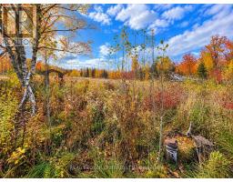 5654 Willison Side Road, Ramara, ON L3V6H5 Photo 6