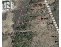 5654 Willison Side Road, Ramara, ON L3V6H5 Photo 7