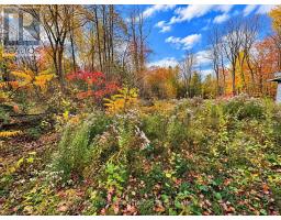 5670 Willison Side Road, Ramara, ON L3V6H6 Photo 6