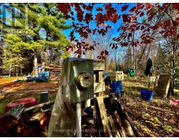 1 Carty Road, North Algona Wilberforce, ON K0J1X0 Photo 14