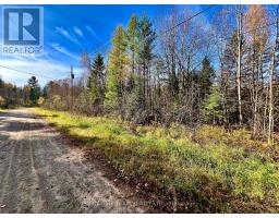 1 Carty Road, North Algona Wilberforce, ON K0J1X0 Photo 17