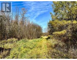 1 Carty Road, North Algona Wilberforce, ON K0J1X0 Photo 19