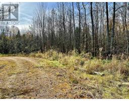 1 Carty Road, North Algona Wilberforce, ON K0J1X0 Photo 20