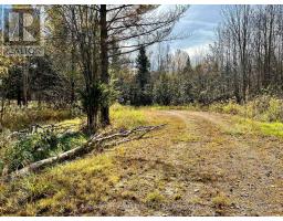 1 Carty Road, North Algona Wilberforce, ON K0J1X0 Photo 23