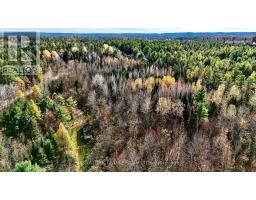 1 Carty Road, North Algona Wilberforce, ON K0J1X0 Photo 25