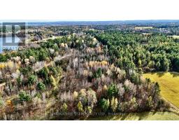 1 Carty Road, North Algona Wilberforce, ON K0J1X0 Photo 26