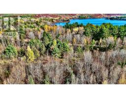 1 Carty Road, North Algona Wilberforce, ON K0J1X0 Photo 28