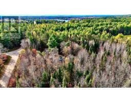1 Carty Road, North Algona Wilberforce, ON K0J1X0 Photo 29