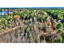 1 Carty Road, North Algona Wilberforce, ON K0J1X0 Photo 31