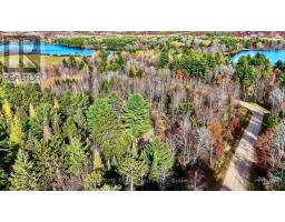 1 Carty Road, North Algona Wilberforce, ON K0J1X0 Photo 32