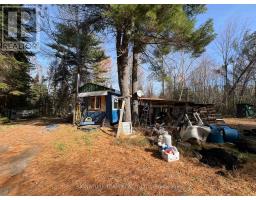 1 Carty Road, North Algona Wilberforce, ON K0J1X0 Photo 6