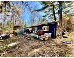 1 Carty Road, North Algona Wilberforce, ON K0J1X0 Photo 8