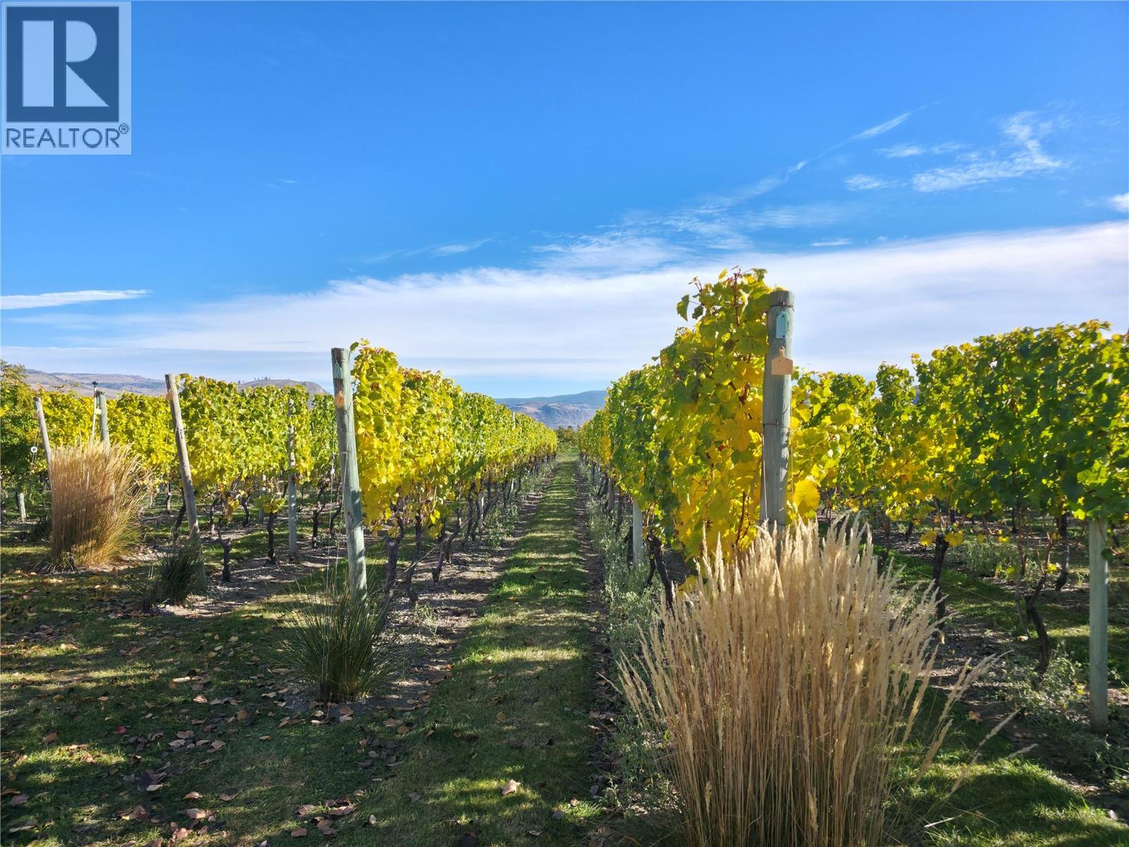  10319 12th Avenue, Osoyoos - Image 1