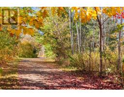 57 All Points Drive, Whitchurch Stouffville, ON L4A0W5 Photo 33