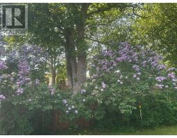 228 Hamilton Avenue thumbnail 36