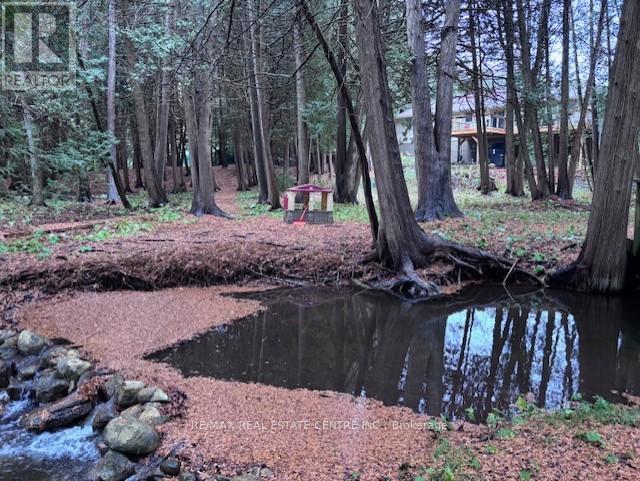 16 Cedar Lane, Mono, ON photo 48