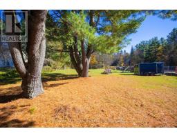149 Burleigh Street, North Kawartha, ON K0L1A0 Photo 30