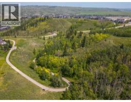 125 Quartz Crescent, Cochrane, AB T4C3G2 Photo 43