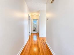 42 Cypress Bay, Winnipeg, MB R2J1Z8 Photo 13