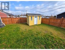 812 Birch Street thumbnail 14