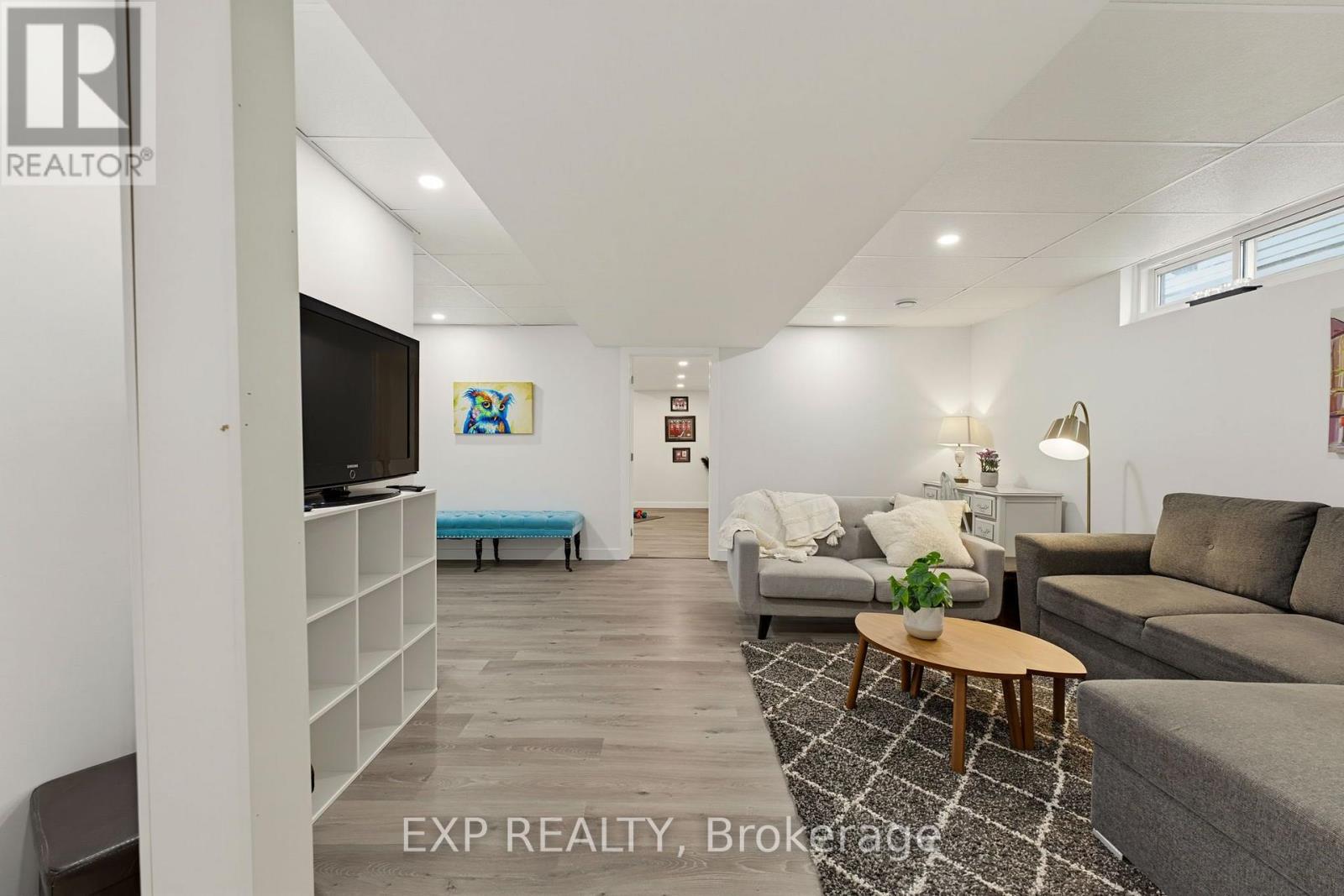 Basement Lower Level Living Room