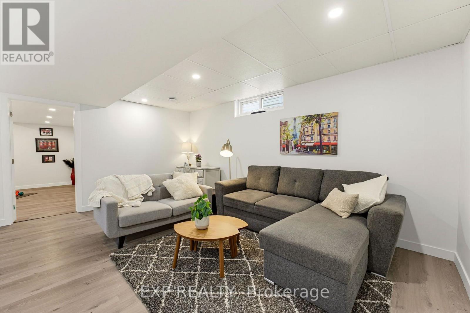 Basement Lower Level Living Room