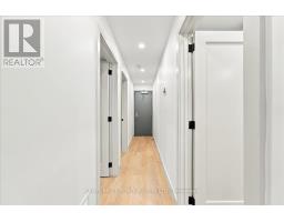Bsmt - 113 Hatherley Road, Toronto, ON M6E1W4 Photo 8