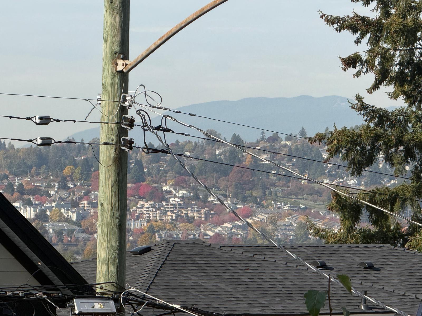 11028 129A Street, Surrey — photo 33