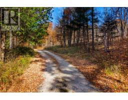 12921 Highway 7, Lanark Highlands, ON K7C0C5 Photo 46