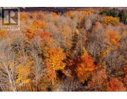 12921 Highway 7, Lanark Highlands, ON K7C0C5 Photo 47