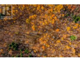 12921 Highway 7, Lanark Highlands, ON K7C0C5 Photo 48