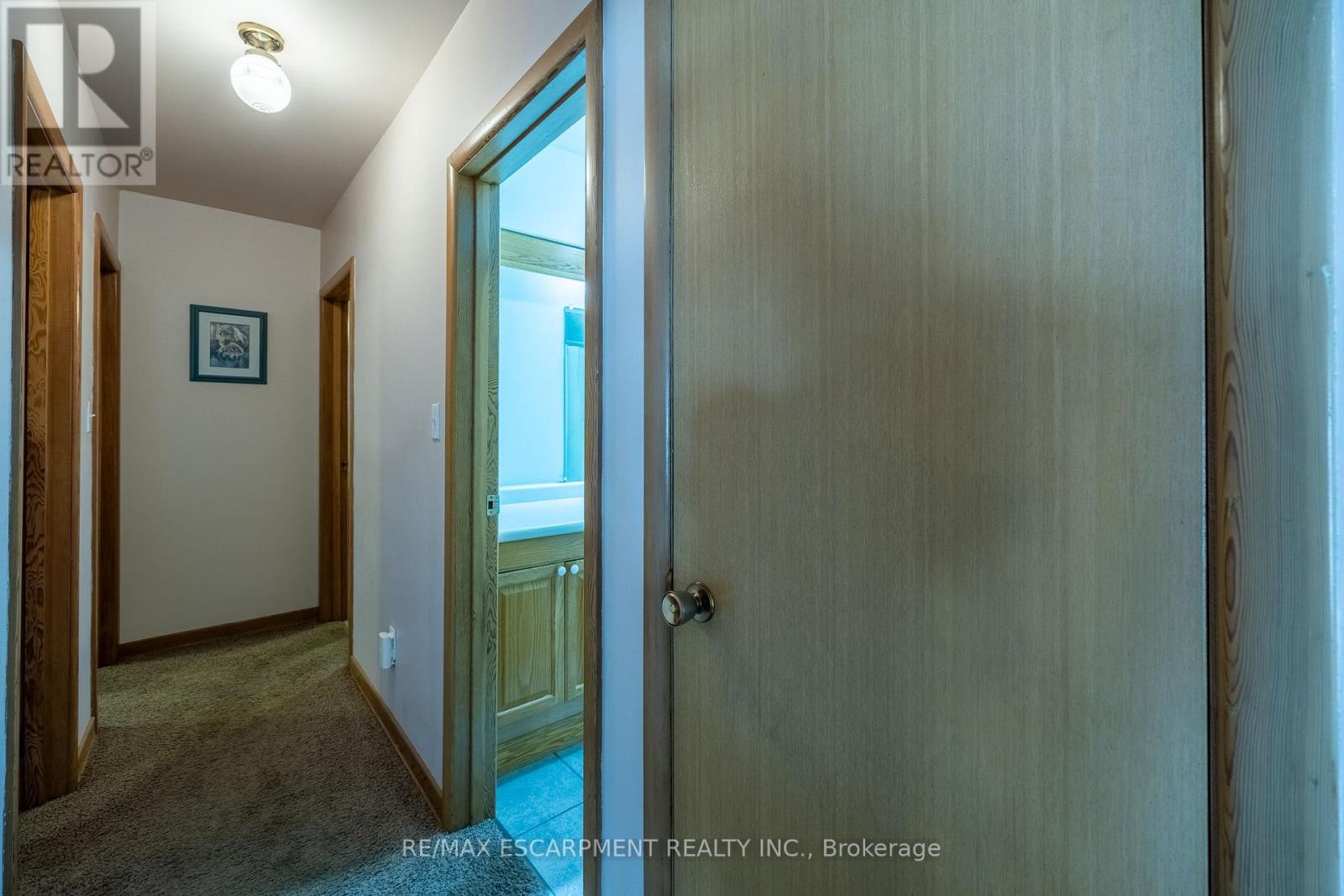 7 Old Talbot Road, Haldimand, ON photo 13