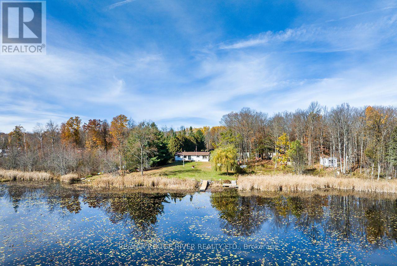 315 Swinburne Lane, Stirling-Rawdon, ON photo 34