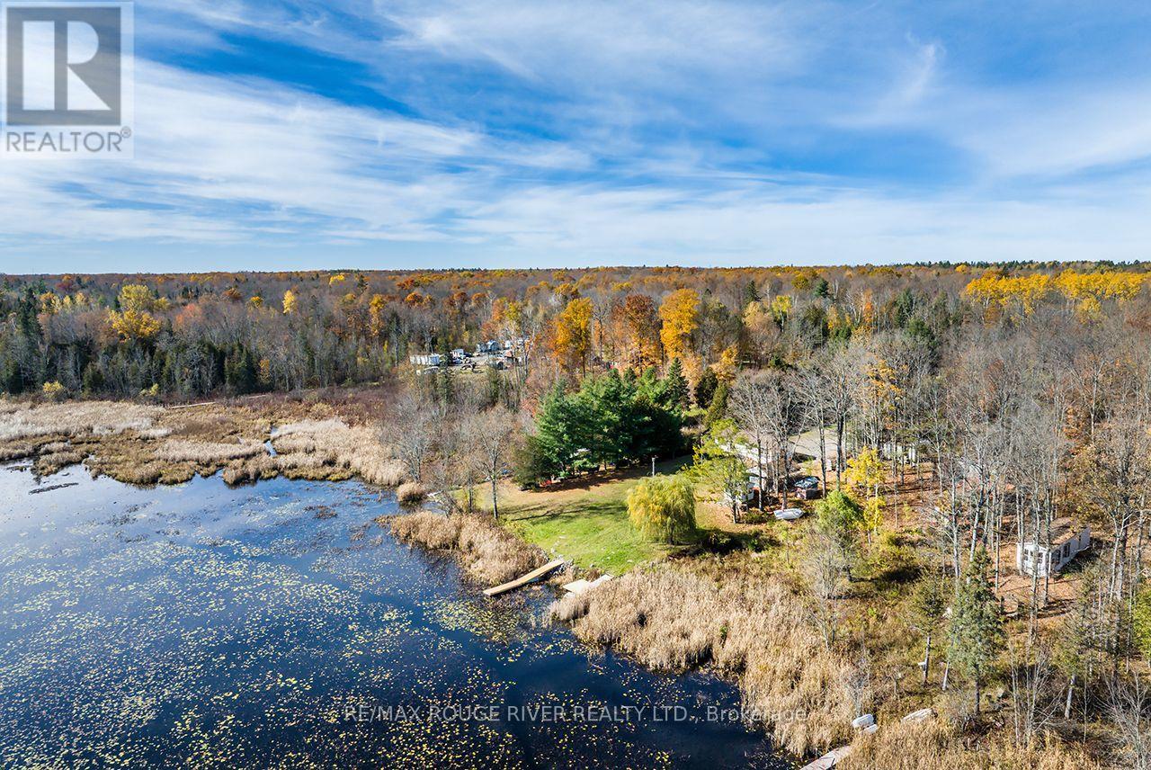 315 Swinburne Lane, Stirling-Rawdon, ON photo 38