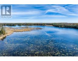 315 Swinburne Lane, Stirling Rawdon, ON K0K2M0 Photo 40