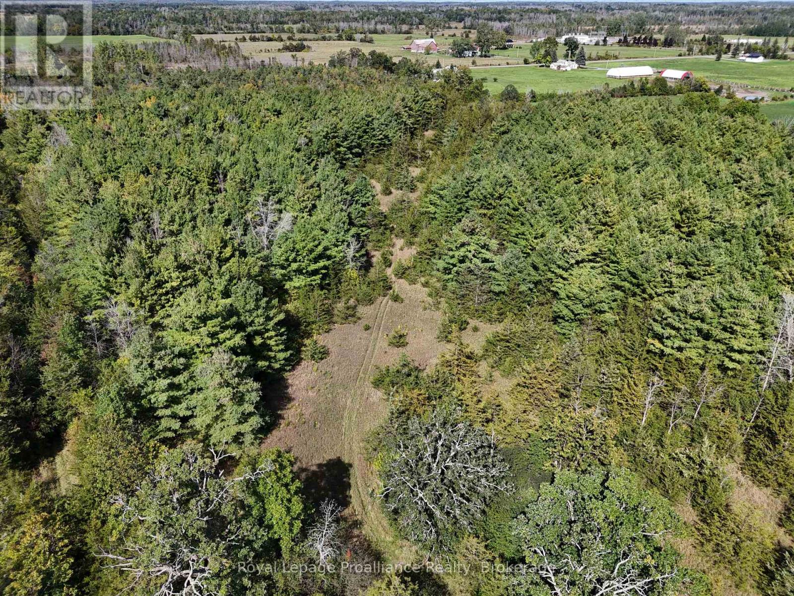 544 Lazier Road, Tyendinaga, ON photo 10