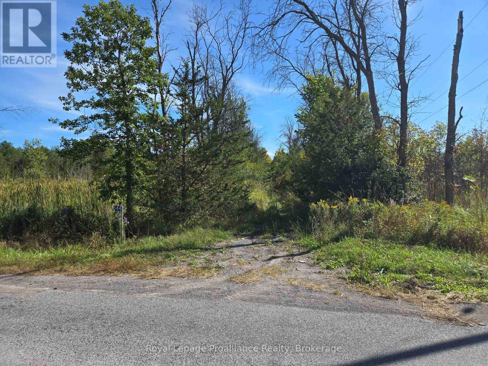 544 Lazier Road, Tyendinaga, ON photo 5