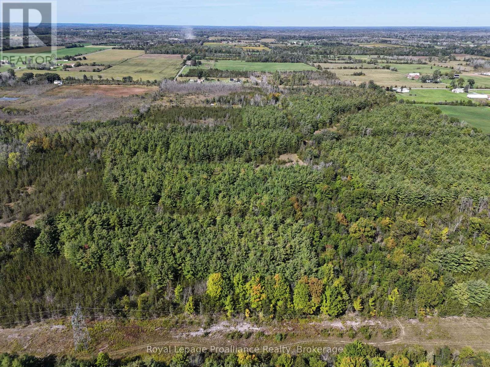 544 Lazier Road, Tyendinaga, ON photo 9