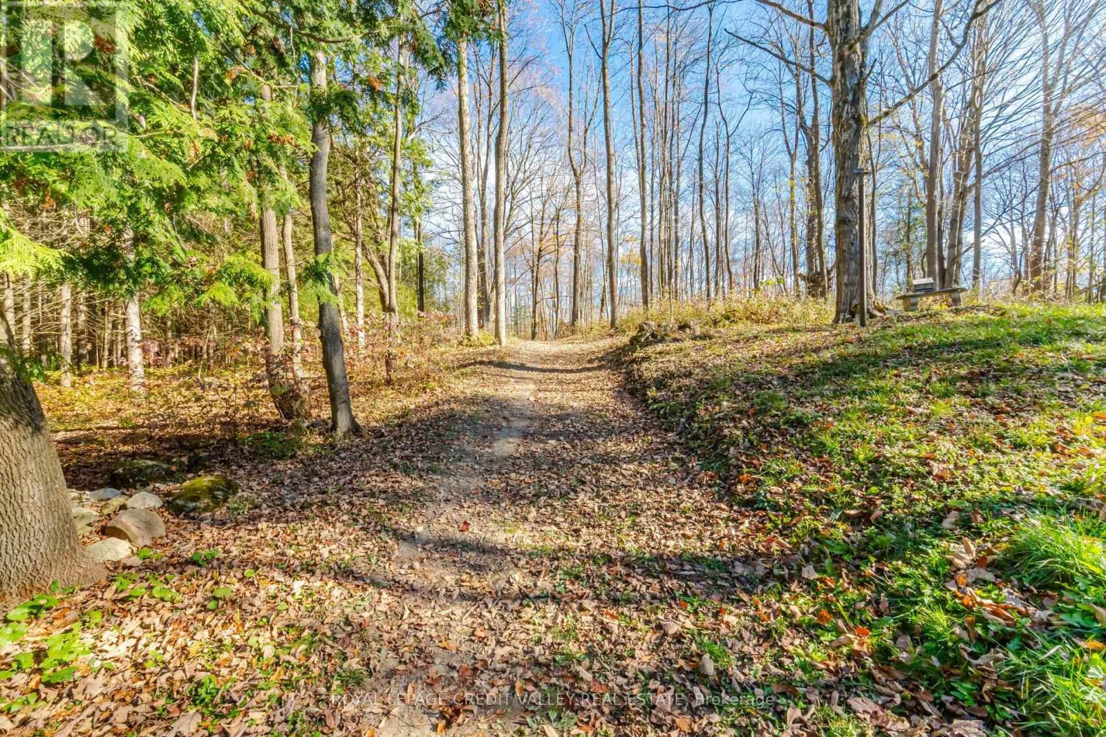 574291 Side Road 40, West Grey, ON photo 47
