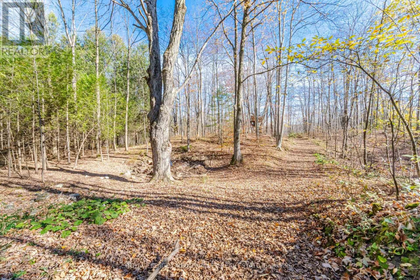 574291 Side Road 40, West Grey, ON photo 48