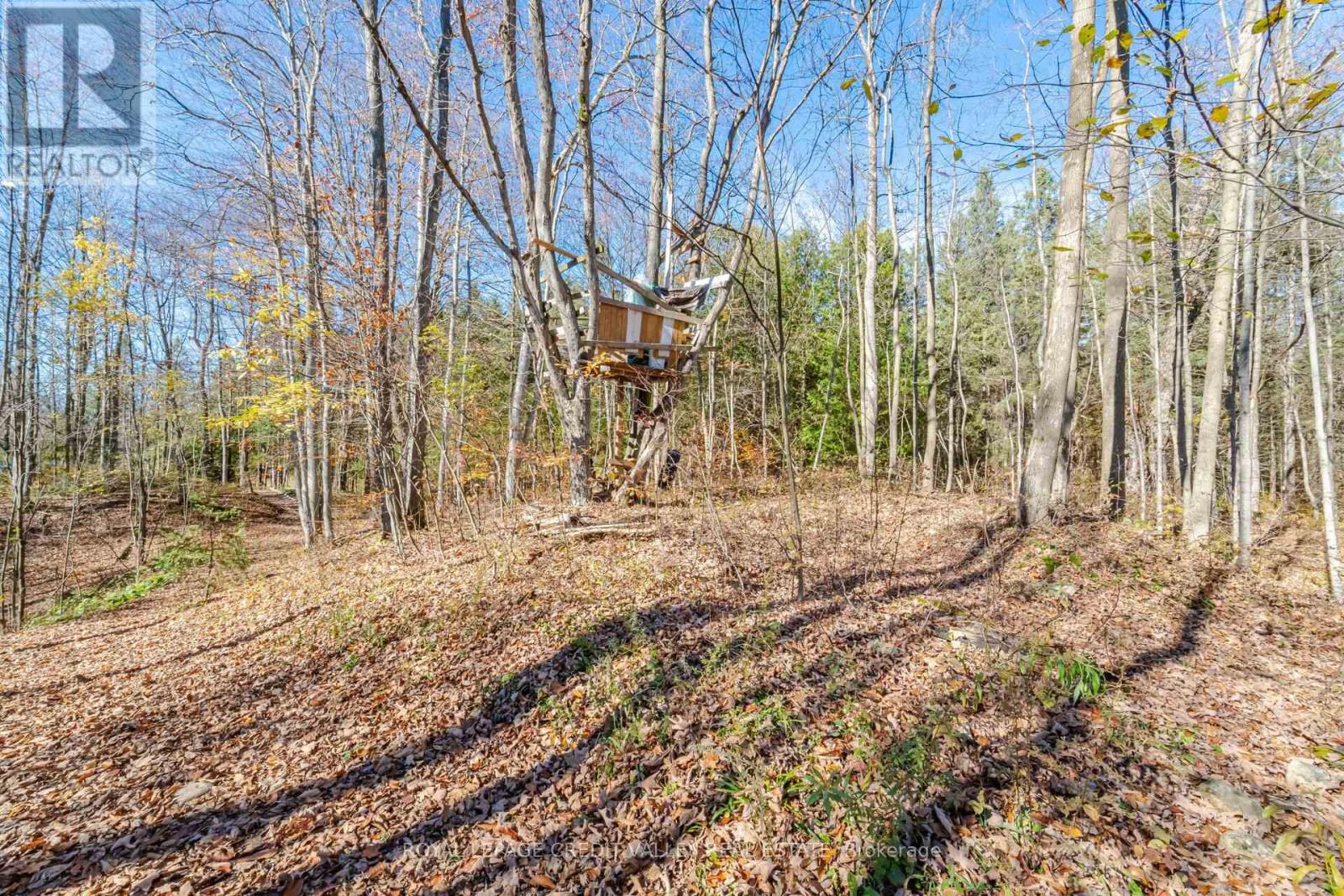 574291 Side Road 40, West Grey, ON photo 50