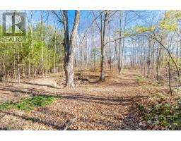 574291 Side Road 40, West Grey, ON N0C1H0 Photo 48