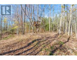 574291 Side Road 40, West Grey, ON N0C1H0 Photo 50