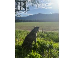 342 Lumby Mabel Lake Road, Lumby, BC V0E2G5 Photo 63