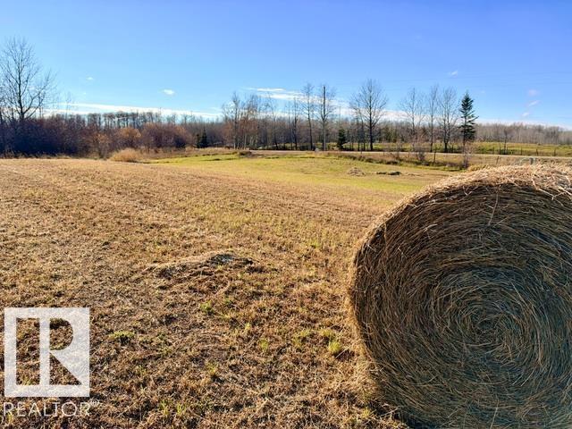 Property photograph 1 for MLS E4514351