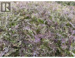 263058 Township Road 252, Rural Wheatland County, AB T0J1Y0 Photo 19