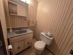 2pc Bathroom - 387 Novavista Drive, Winnipeg, MB R2N1E9 Photo 8