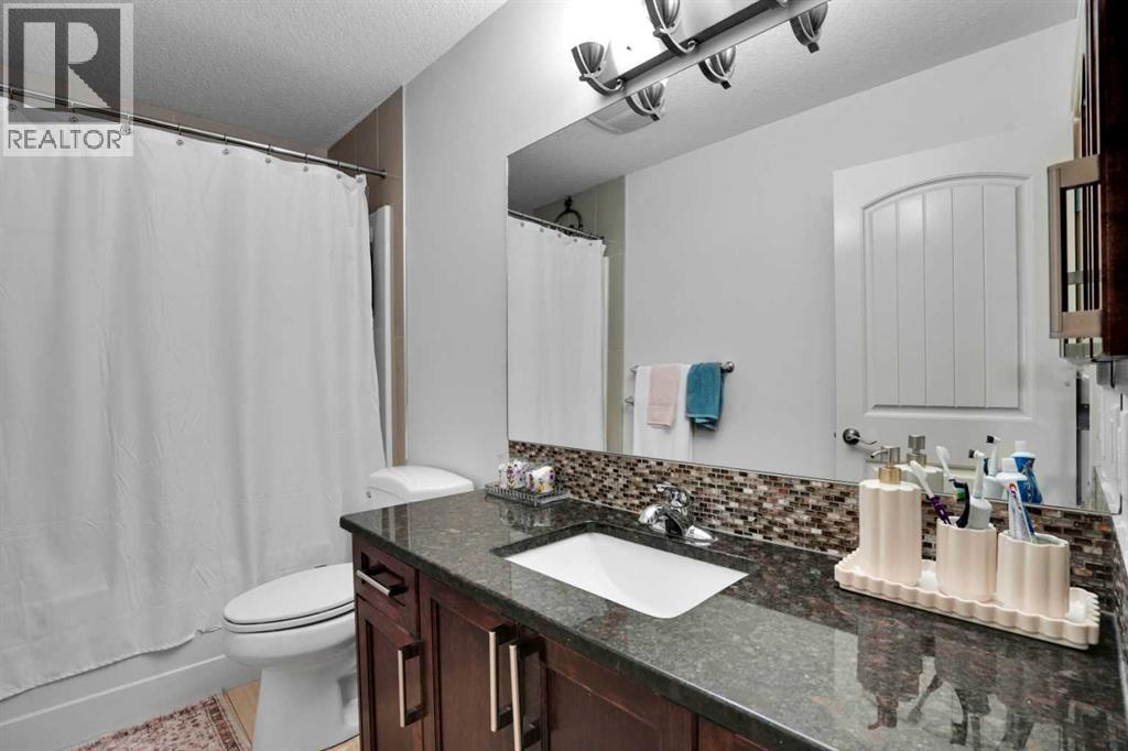 293 Saddlelake Drive NE, Calgary — photo 25